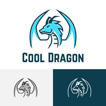 Blue Cool Ice Dragon Esport Game Logo Symbol