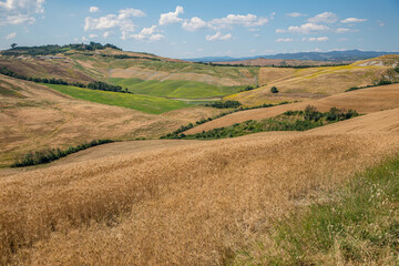 Panoramic view of traditional Tuscany landscapes, Siena Province, Tuscany, Italy