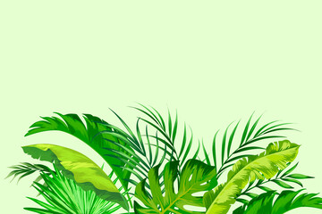 Tropical vector background. Jungle exotic illlustration. Composition with botanic green leaves. Invitation template.