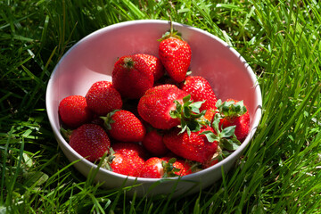 A bowl with strawberries on the grass 