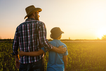 Father and son are standing in their growing wheat field. They are happy because of successful sowing and enjoying sunset.