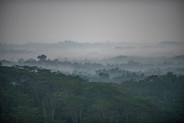 misty morning in the mountains and forest