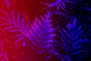 Tropical black light glowing leaves.
