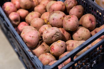 Potatoes in crates and baskets at the grocery store. High quality photo
