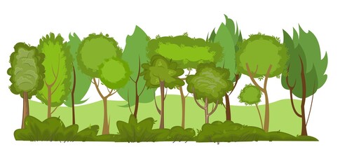 Summer forest landscape. Light foggy thickets. Dense foliage. View of green trees. Cartoon flat style. Nature illustration. Vector