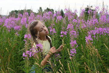 beautiful teenage girl among the pink flowers of Ivan-tea or a blooming Sally. Medicinal plant willow-grass grows in the meadow. Wildflowers
