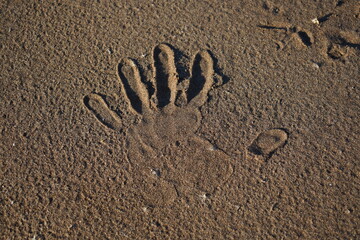footprint in sand .handprint on the sand, shore background, sand texture.
