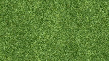 Top view of Grass