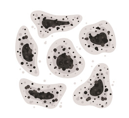 Black mold spots of different shapes. Toxic mold spores. Fungi and bacteria. Stains on the house wall. Isolated vector illustration on white background. - obrazy, fototapety, plakaty