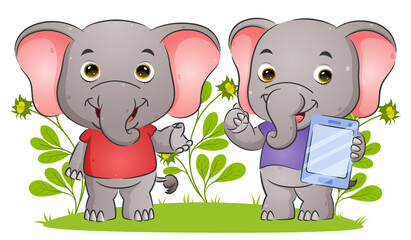 The couple elephant is explaining and holding a tablet with the happy expression
