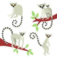 A set of lemurs in different poses. Exotic cute animals of madagascar and africa. Vector illustration in flat style