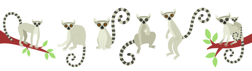 A set of lemurs in different poses. Exotic cute animals of madagascar and africa. Vector illustration in flat style - obrazy, fototapety, plakaty