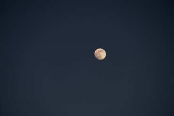 silver moon background in the sky