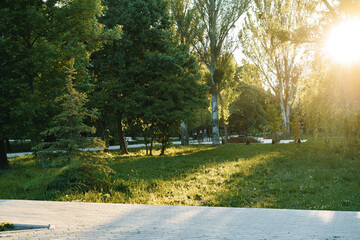 Cement walking path in a beautiful park
