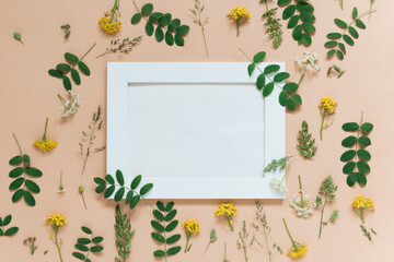 white frame for text on botany floral background