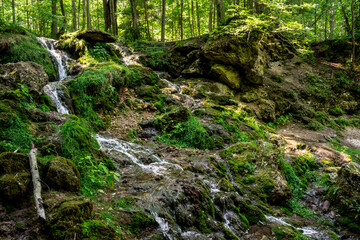 Kazu Grava waterfall in the middle of a beautiful green and lush forest illuminated by the sunlight in Latvia