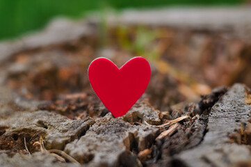  Red heart on natural background copy space, concept of love