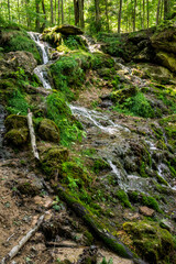 Kazu Grava waterfall in the middle of a beautiful green and lush forest illuminated by the sunlight in Latvia