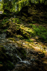 Kazu Grava waterfall in the middle of a beautiful green and lush forest illuminated by the sunlight in Latvia