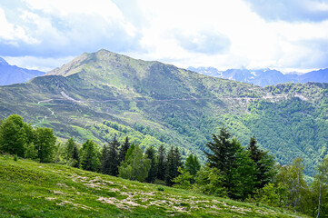 Obraz premium Green pastures on the Alpe di Mera plateau in Valsesia, Piedmont, Italy in summertime