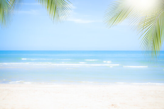 Sand beach soft wave with coconut or palm leaves at coast with blue sea and blue sky. nature ocean outdoor. tropical tourist vacation summer travel in holidays concept.