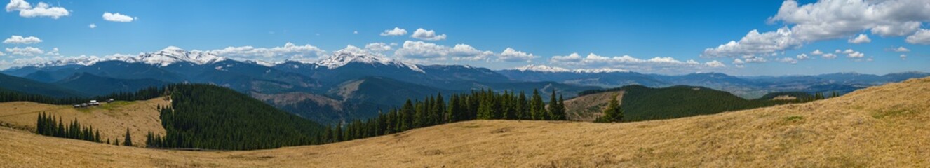 Fototapeta na wymiar Carpathian mountain plateau spring panorama with fir forest on slope, Ukraine.