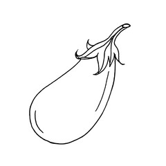 One eggplant on a white background, hand-drawn.Vector eggplant can be used in culinary designs, menus,textiles, napkins.