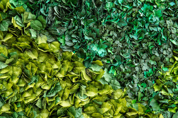 Artificial decorative landscaping on the wall background.