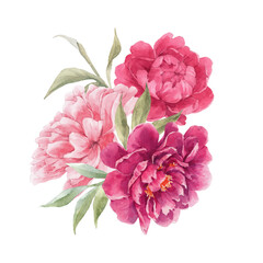 Beautiful floral composition with hand drawn watercolor gentle pink peony flowers bouquet. Stock illuistration. © zenina