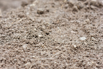 clean soil as a vegetable growing medium