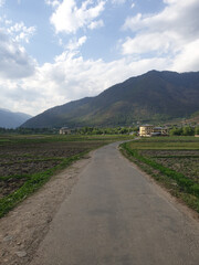 Fototapeta na wymiar Himalayan Village Road