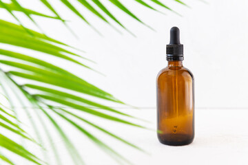 Fototapeta premium Dark glass cosmetic bottle with palm branches on a white background. Spa care concept. 