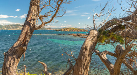 Vue du sentier du littoral, presqu'&icirc;le de Giens, France.