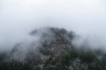 mountain shrouted in fog
