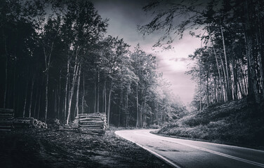 A night to remember - Eine mysteriöse, düstere Serpentine mitten im Wald im schönen Lubkowo in...