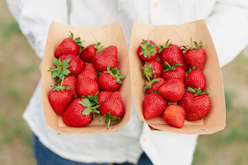 Strawberry in disposable eco plate in woman hands on green background