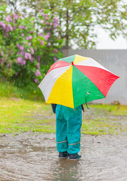 a little child hides under an umbrella on the street during the rain