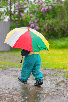 a small child with a bright colorful umbrella walks through the puddles in the rain