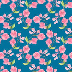 Pink bougainvillea flowers on a blue background.