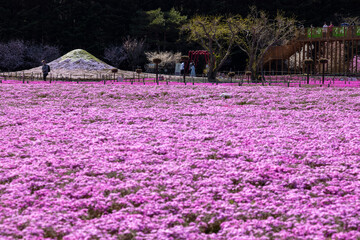 富士山のふもとのガーデン