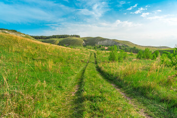 Fototapeta na wymiar A path in the middle of green meadows, a delightful summer landscape, the nature of Russia