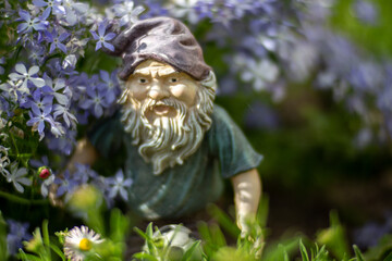 A gnome figurine in a garden surrounded by summer blooming plants.