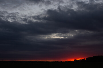 Sunset with the silhouette of the forest. There is space for text.