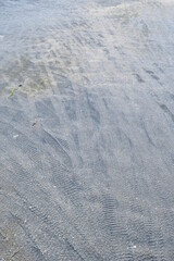 オフロードの轍