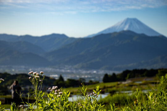 富士山と水を張った棚田 © 裕太 福原