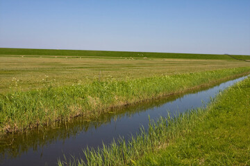 Bantpolder