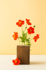 A wooden podium for the presentation of your product, surrounded by wildflowers.