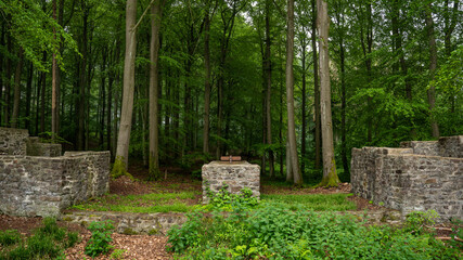 Fototapete bei efototapeten.de bestellen   
