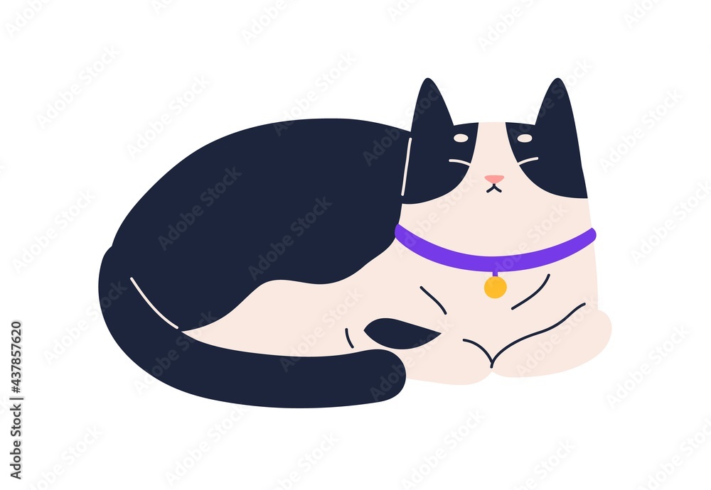 Poster cute happy relaxed cat purring. adorable kitty resting with closed eyes. contented sweet kitten lyin