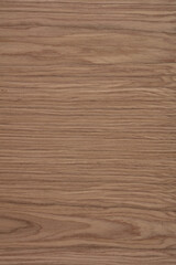 European Walnut veneer background in light brown color, texture for your new design.